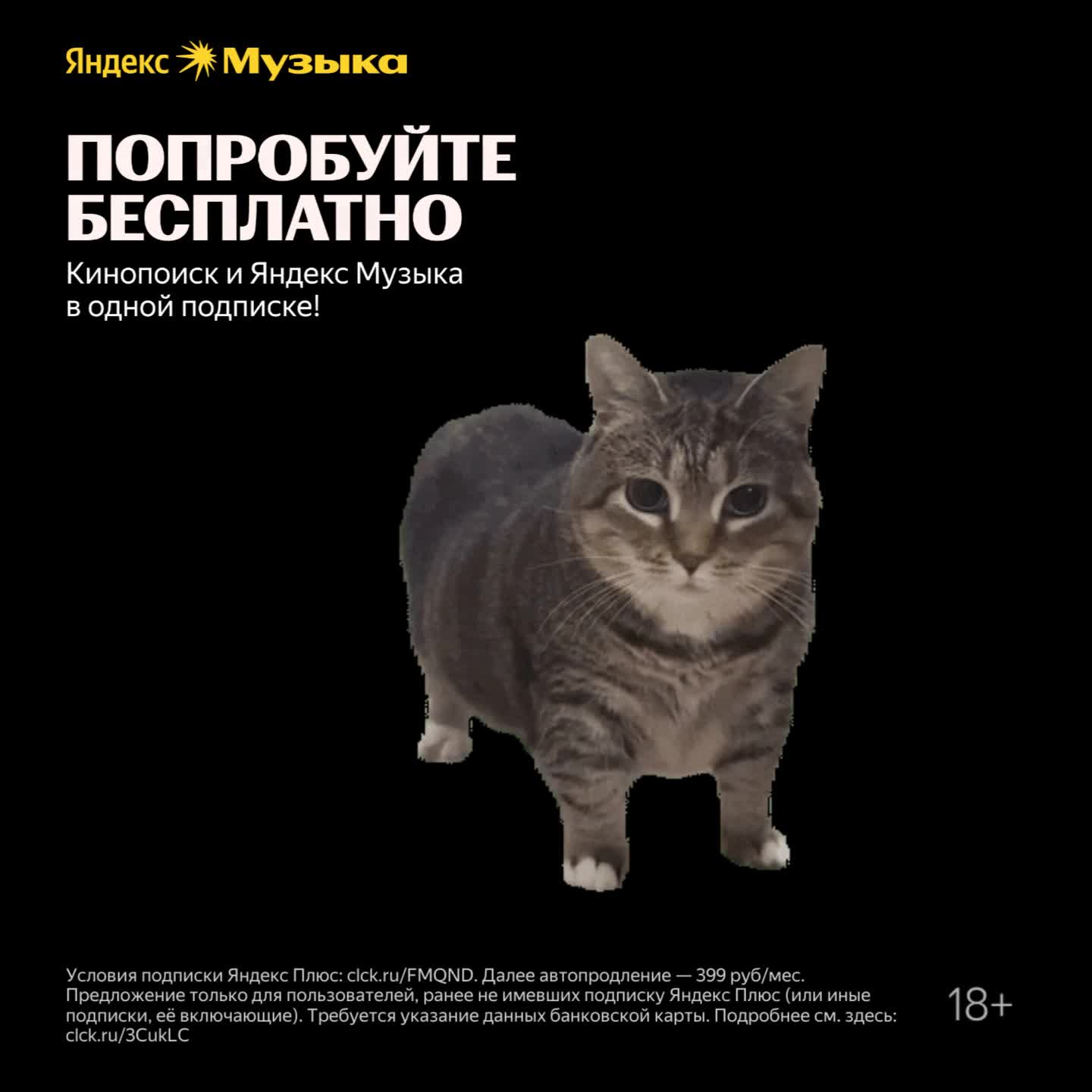[https://ya.cc/t/-WIUFlEp6qzKh5/?erid=j1SUmJm9ZjatNjWEL|Дарим подписку на Яндекс Музыку]