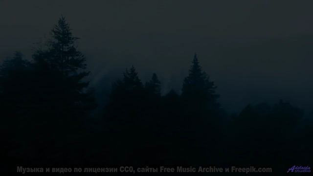 Готовы к адреналину Включайте и летите! - Happy Dance -- Cedric Galke -- Unnamed album