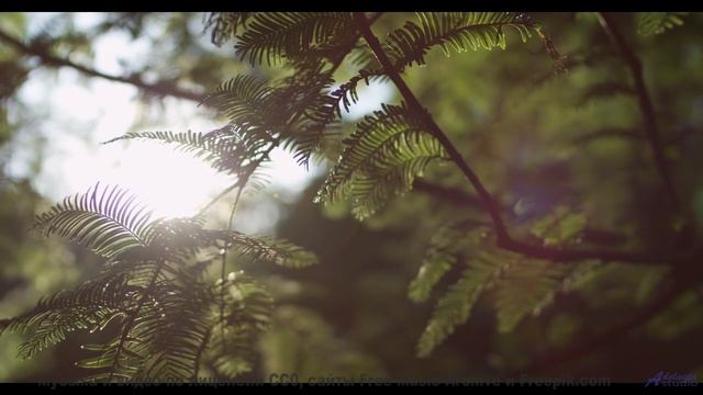 Мелодия двигает облака прямо на ваших глазах - Essence -- Ketsa -- Summer With Sound