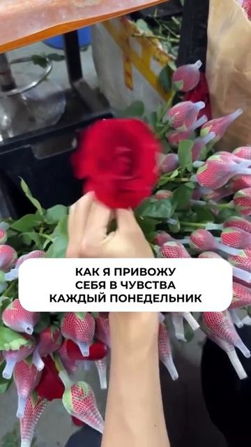 1000049238.mp4
