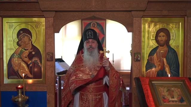 Схииг.Гавриил. О духовно слепых