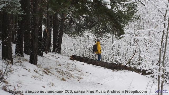 Почему духовные лидеры запрещают эту музыку - Four Twenty-Two -- Ayla Nereo -- Play Me a Time