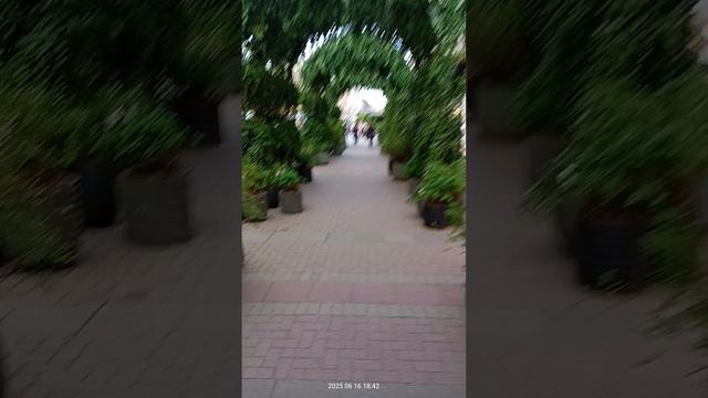 Арбат озеленили