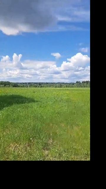 д. Фалилеево  50:18:0040202:587
