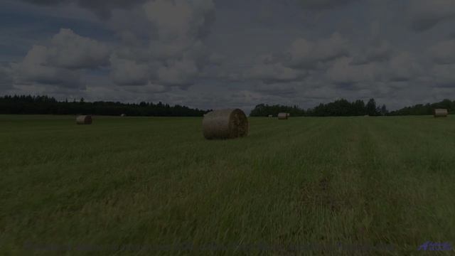 Эта композиция взламывает сны - что вы увидите ночью - Celebracio (XLIII) -- opo -- Estudios Indigen