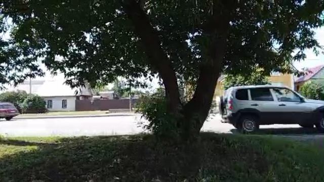 1000008908.mp4