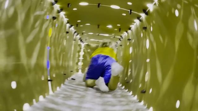 Влад и Ники - Гигантский лабиринт челлендж для детей