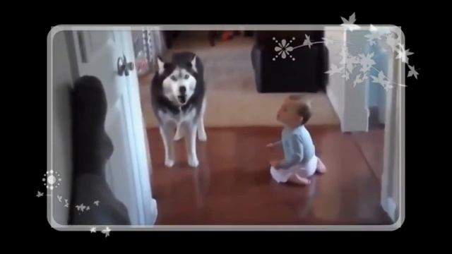 Вот оно "мохнатое" счастье!