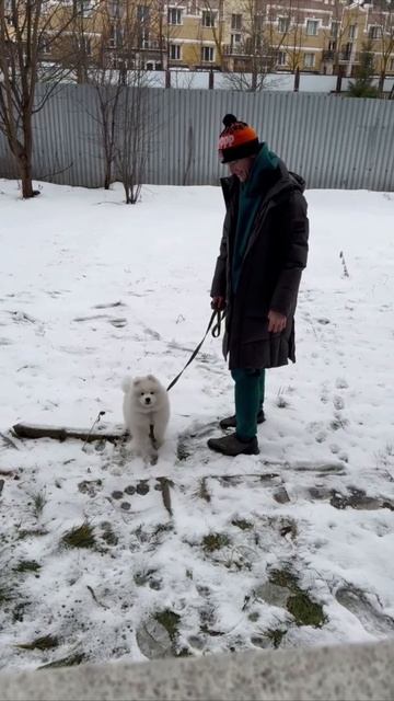 Снежный Ежик 🦔