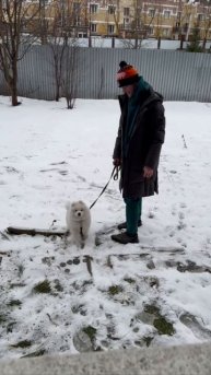 Снежный Ежик 🦔