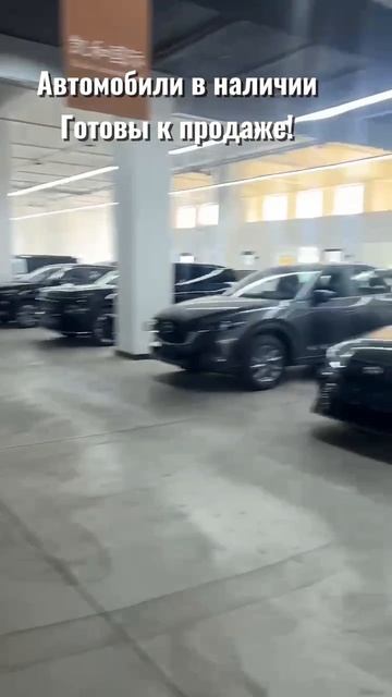 Предлагаем к покупке новые автомобили 2025 года🔥🇨🇳
 #АвтоНаЗаказ #АвтоизКитая #РегионАвто