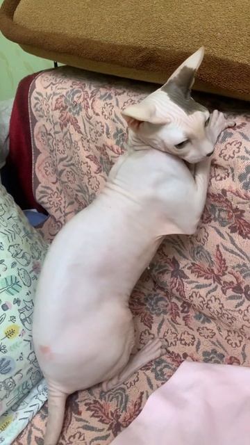 18 июня 2024 г.