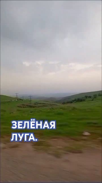 зелёная луга