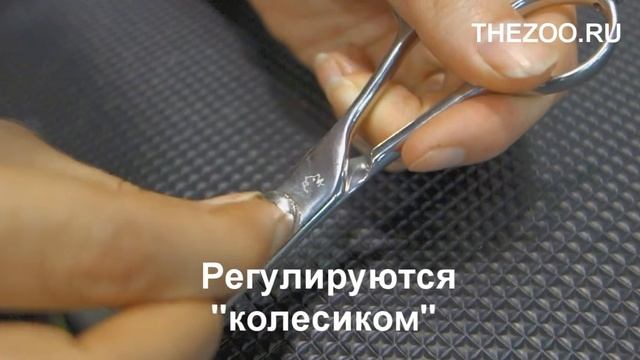 Ножницы для груминга прямые 7 дюймов (17,8 см) CY-35