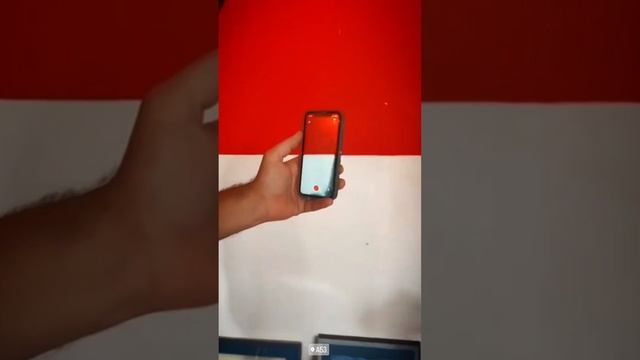 A53 secret gallery - галерея современного искусства на Красном Октябре.