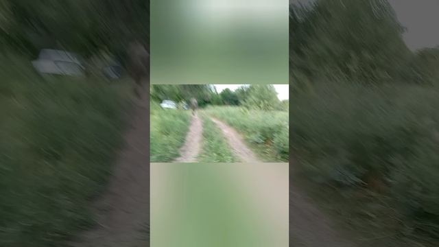 1000000192.mp4