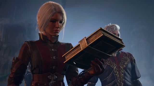 Baldur's Gate 3 - Открываю книгу , вижу фигу