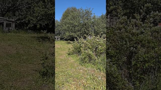 Домик.mp4