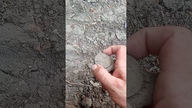 нашол после копателей здоровую царскую шайбу