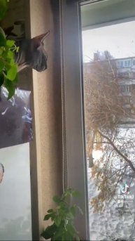 10 марта 2022 г.