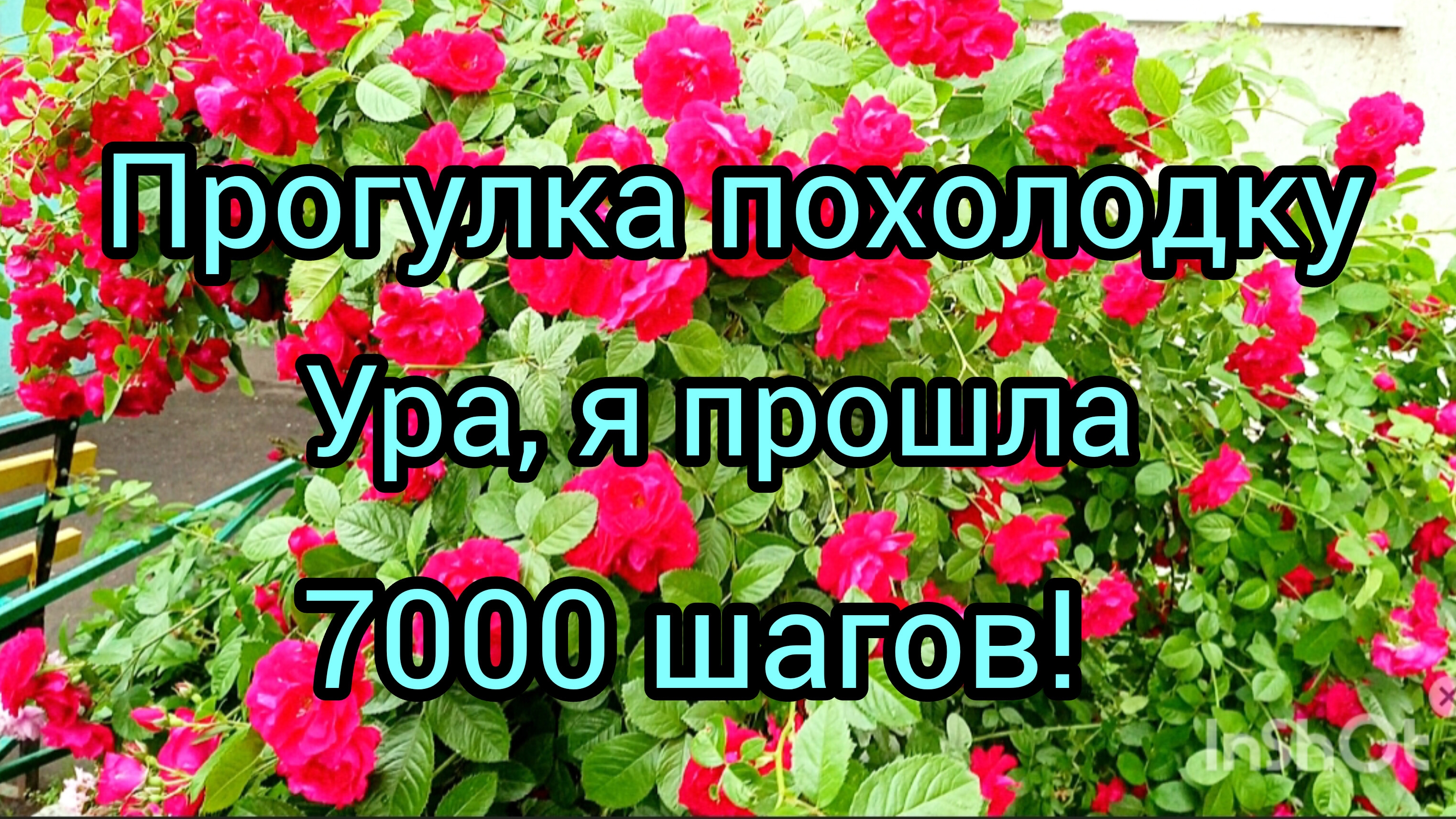 Прогулка удалась! #обзор клумбы #прогулка #природа