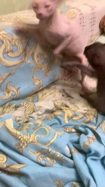 31 октября 2023 г.