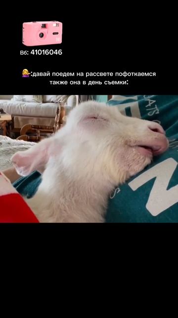 🌸 Розовый Kodak M35 — артикул WB 41016046