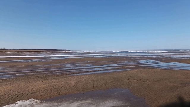 Строим скрадок "гнездо".  А на озере как в пустыне.