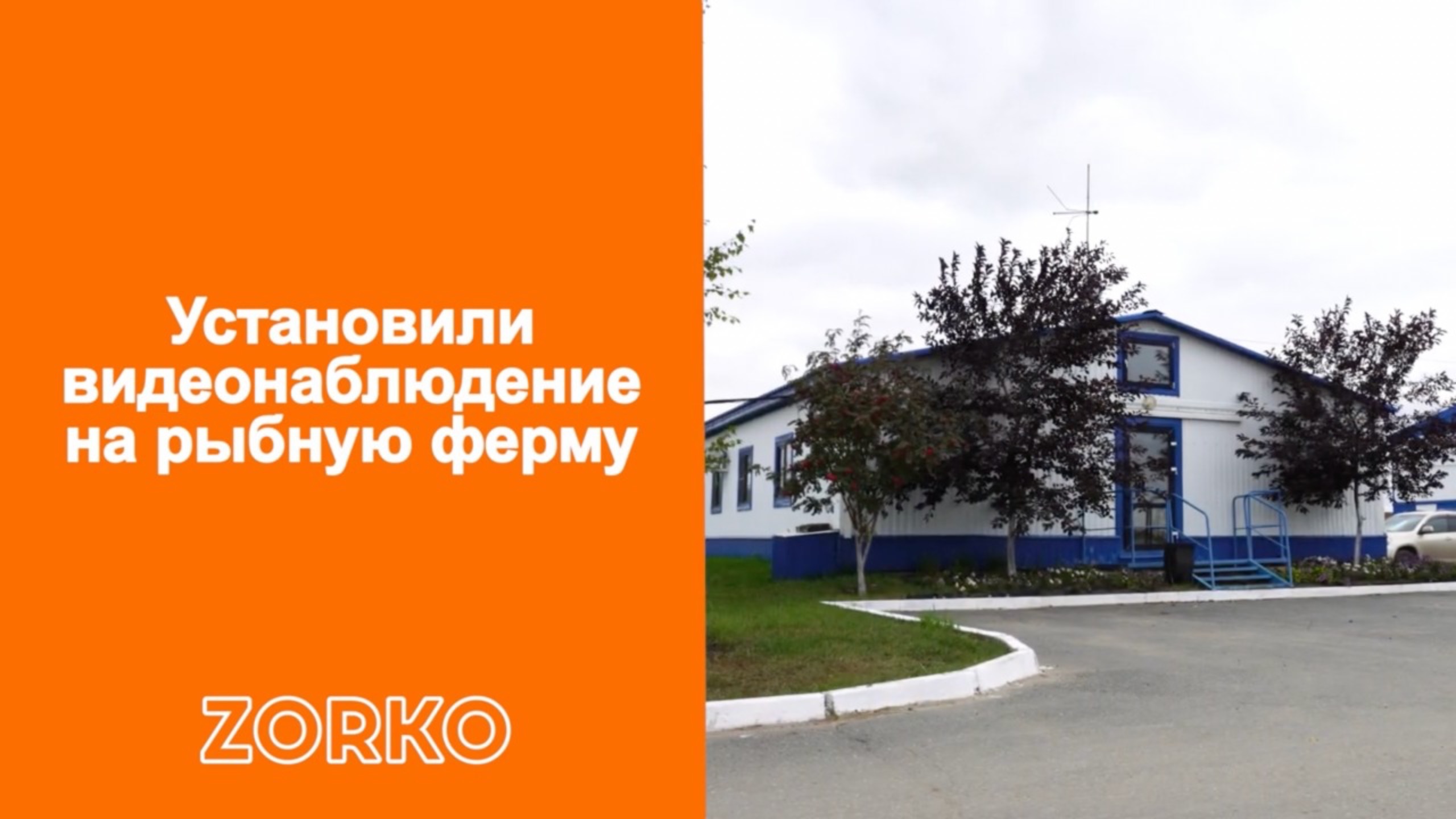 Установили систему видеонаблюдения ZORKO на Омский рыбзавод Бородино