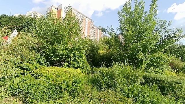Клумба собянина на въезде в Солнцево напротив ЗАГСа