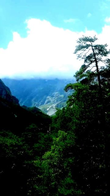 Камера зафиксировала лучший кадр