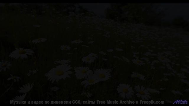 Саунд качает сердце, как ветер качает траву - Похмелье (feat. Maslёnock) -- POVALISHIN DIVISION -- З