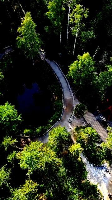 Камера случайно запечатлела невероятное