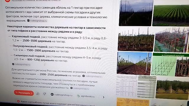 о рентабельности мини сада интенсивного типа.