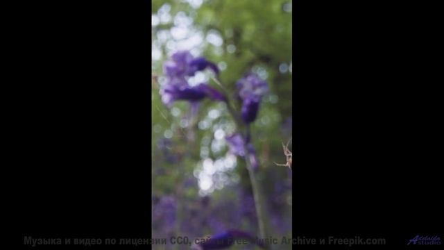 Сердце рвётся наружу, когда ритм совпадает с кадрами - Loneliness And Understanding 2 -- Kirk Osamay