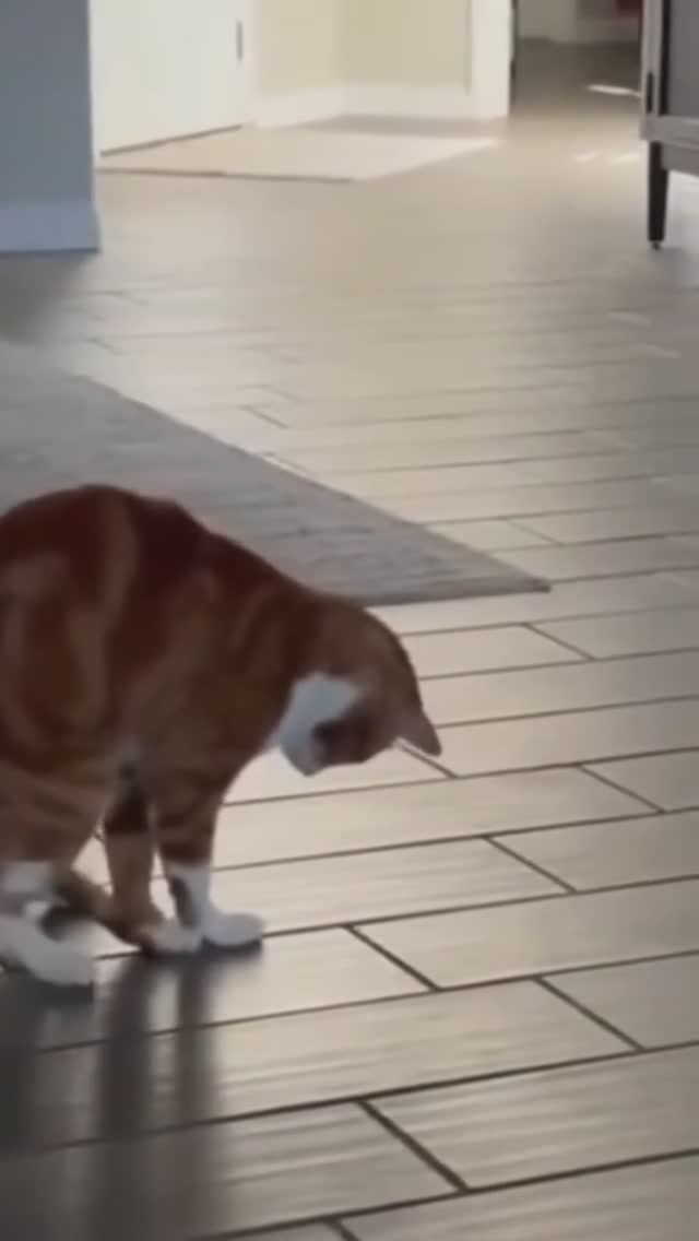 Скучает парень)))