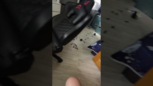 1000000890.mp4