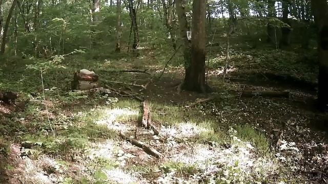 1000135259.mp4
