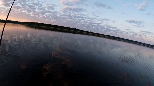 Ловля крупного жереха на реке.