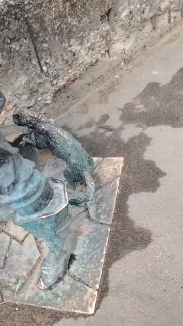Роспотреб-24  в г. Твери.