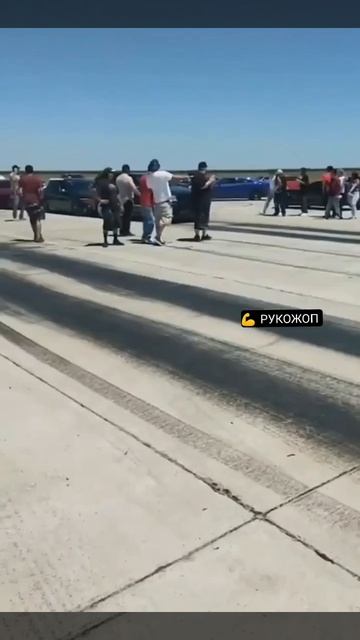 Прикольные видео