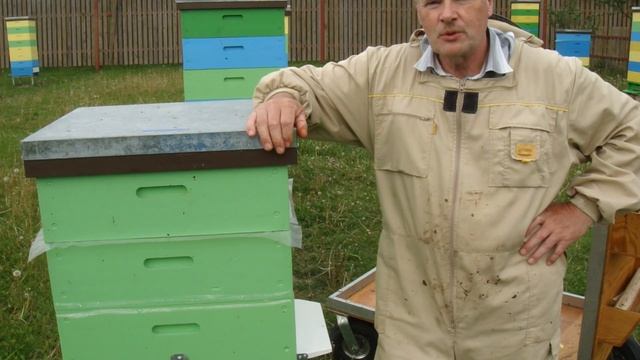 Подсадка маток ИО. Часть 1.