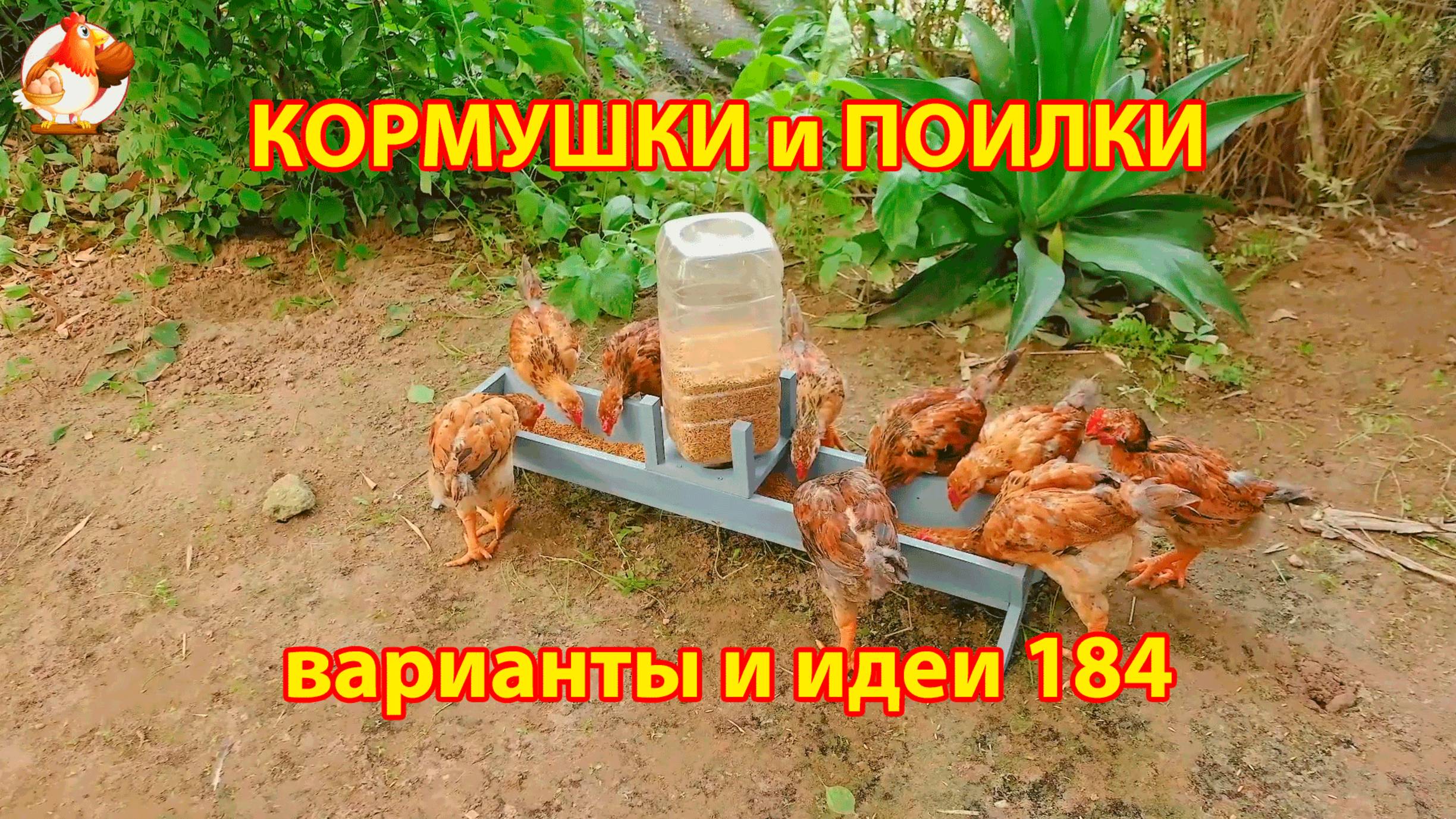 Кормушки и поилки для кур своими руками (184) 🪚✂️ Пошаговая инструкция как сделать 🐔 🐓❣️