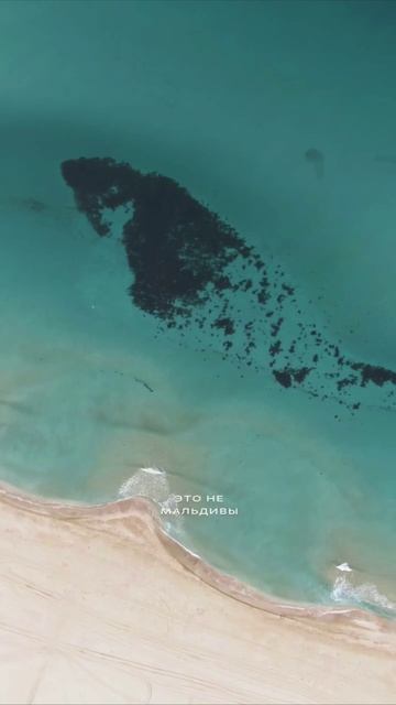 Недвижимость Ялта (Крым)