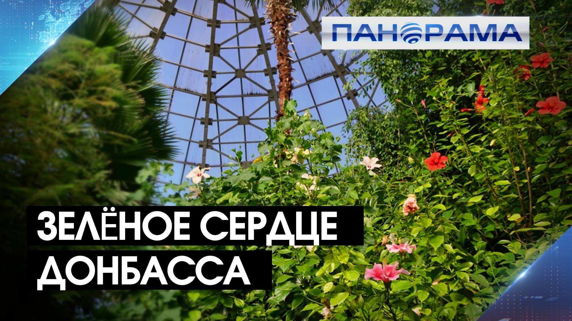 Юбилей в самом цвету - ботаническому саду более полувека! Как живёт и развивается оазис Донбасса?