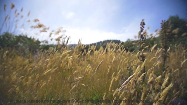 Ты НЕ ОЖИДАЕШЬ такого финала! - Lost On The Freeway -- HoliznaCC0 -- Lost