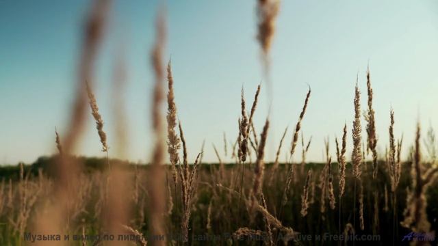 Это видео сотрёт все проблемы из головы - Difference -- Ketsa -- Abundance