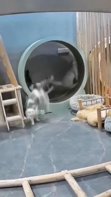 норм конкурс