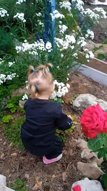 изучаем дедушкин сад🪴🌼🌸💐🌺