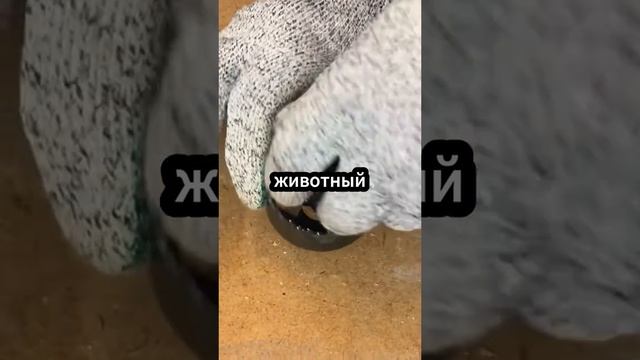 история